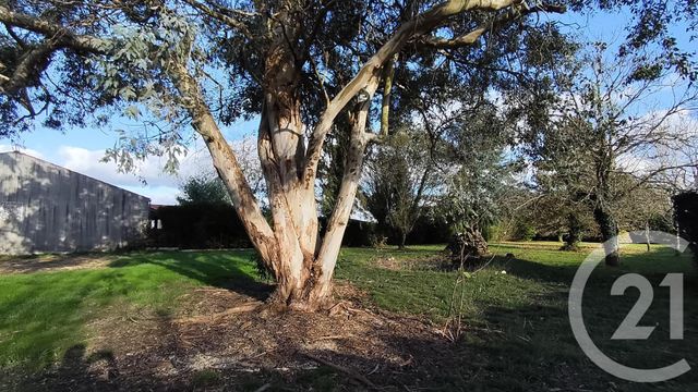 maison à vendre - 4 pièces - 93.77 m2 - RIOUX - 17 - POITOU-CHARENTES - Century 21 Agence De L'Europe