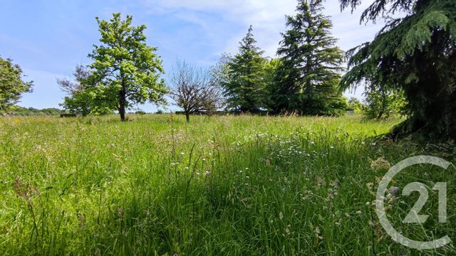 terrain à vendre - 1117.0 m2 - PLASSAY - 17 - POITOU-CHARENTES - Century 21 Agence De L'Europe