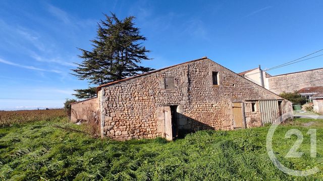 maison à vendre - 3 pièces - 70.66 m2 - BALANZAC - 17 - POITOU-CHARENTES - Century 21 Agence De L'Europe