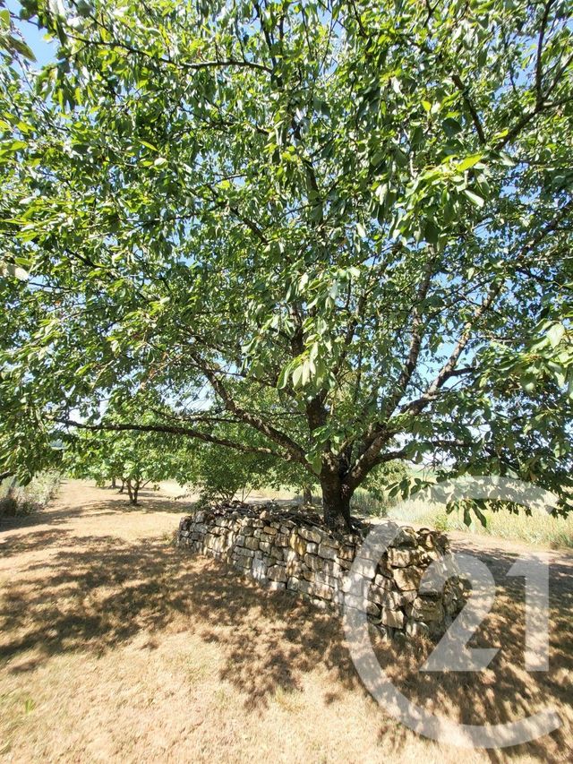 maison à vendre - 5 pièces - 164.7 m2 - CORME ROYAL - 17 - POITOU-CHARENTES - Century 21 Agence De L'Europe