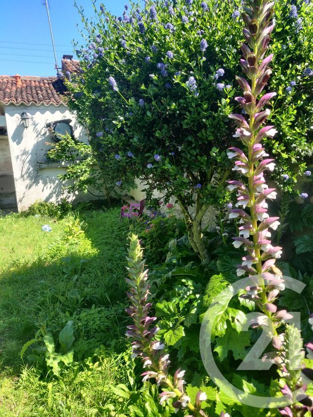 maison à vendre - 3 pièces - 73.46 m2 - ST JEAN D ANGELY - 17 - POITOU-CHARENTES - Century 21 Agence De L'Europe